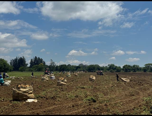 12HA FARM FOR SALE IN WEENEN